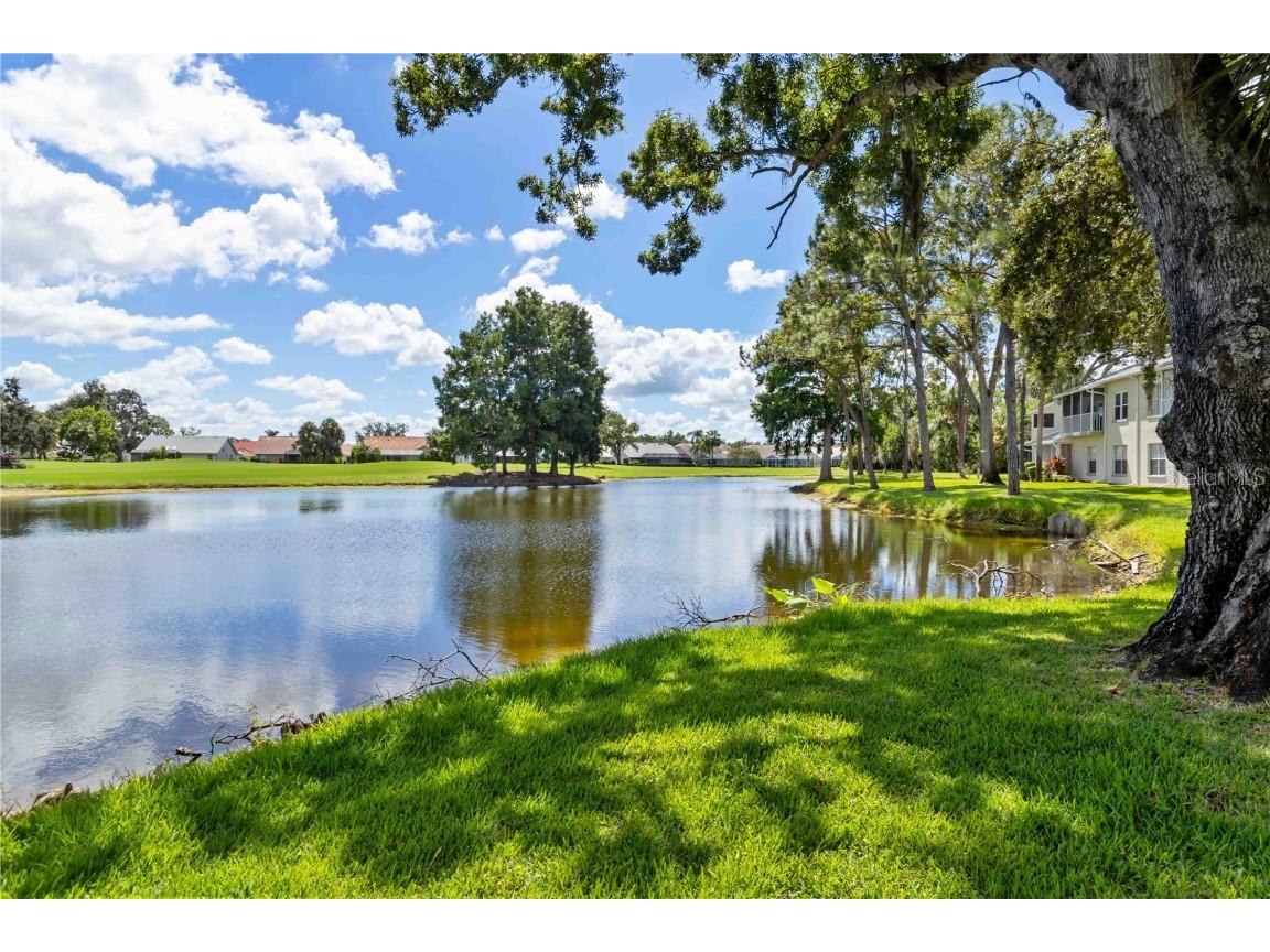 5507 Fair Oaks Street #3-C Bradenton FL 34203 A4666746 image5