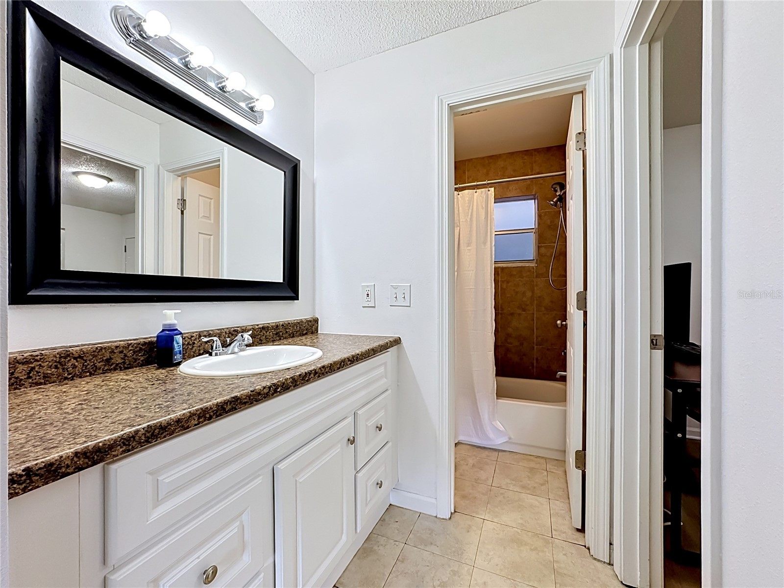 5507 Fountain Lake Circle #B206 Bradenton FL 34207 N6144212 image22
