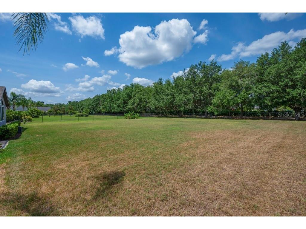 5507 Keeler Oak Street Lithia FL 33547 TB8479381 image47