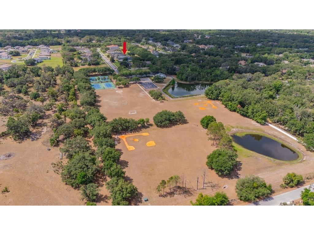 5507 Keeler Oak Street Lithia FL 33547 TB8479381 image48