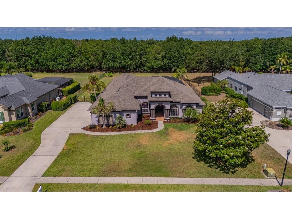 5507 Keeler Oak Street Lithia FL 33547 TB8479381 image52