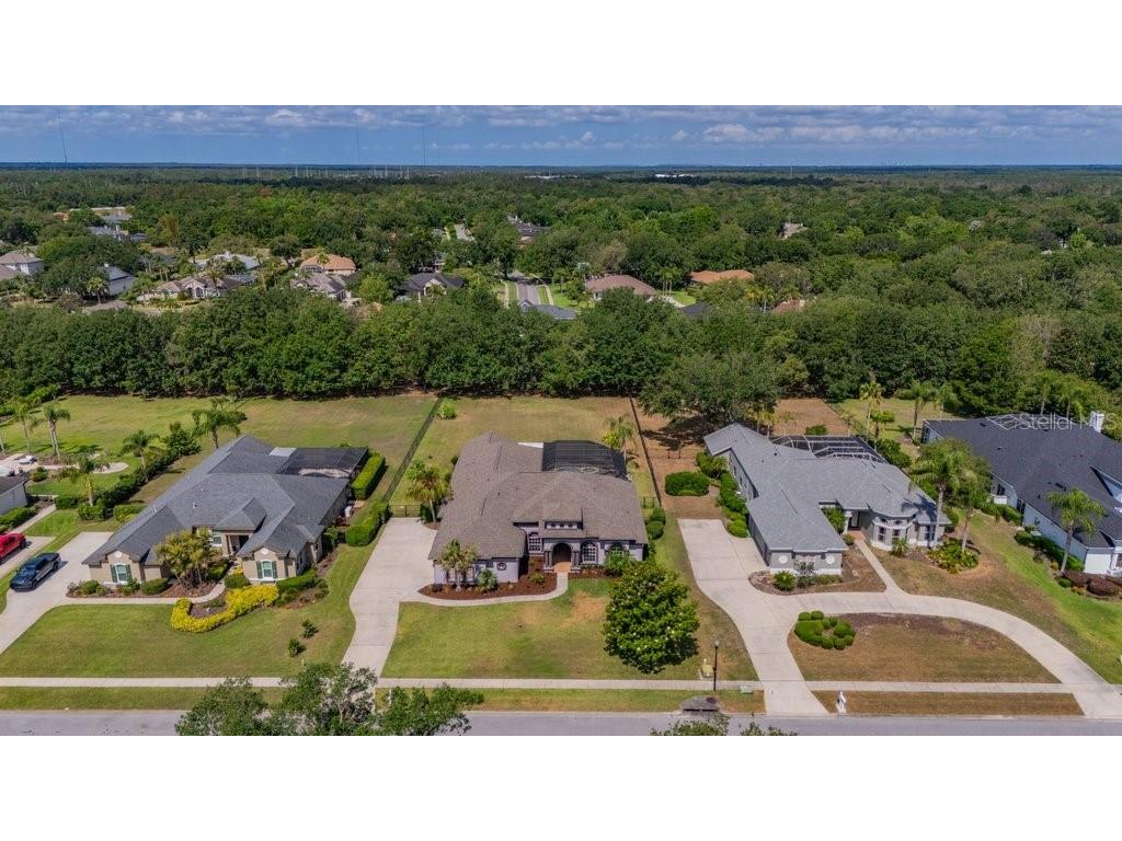 5507 Keeler Oak Street Lithia FL 33547 TB8479381 image56