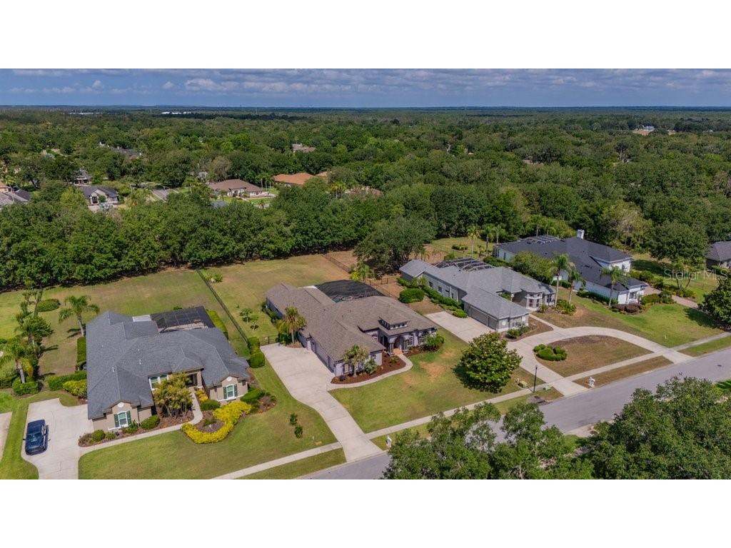 5507 Keeler Oak Street Lithia FL 33547 TB8479381 image57