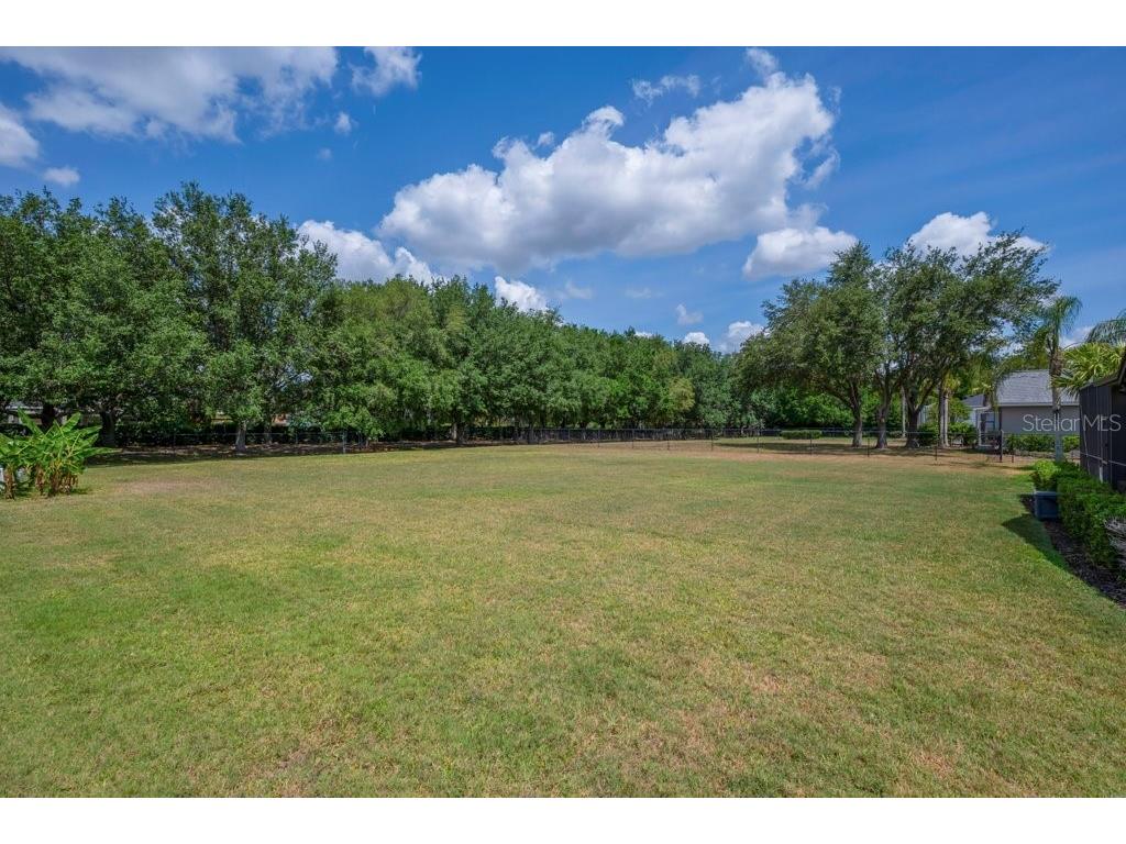 5507 Keeler Oak Street Lithia FL 33547 TB8479381 image7