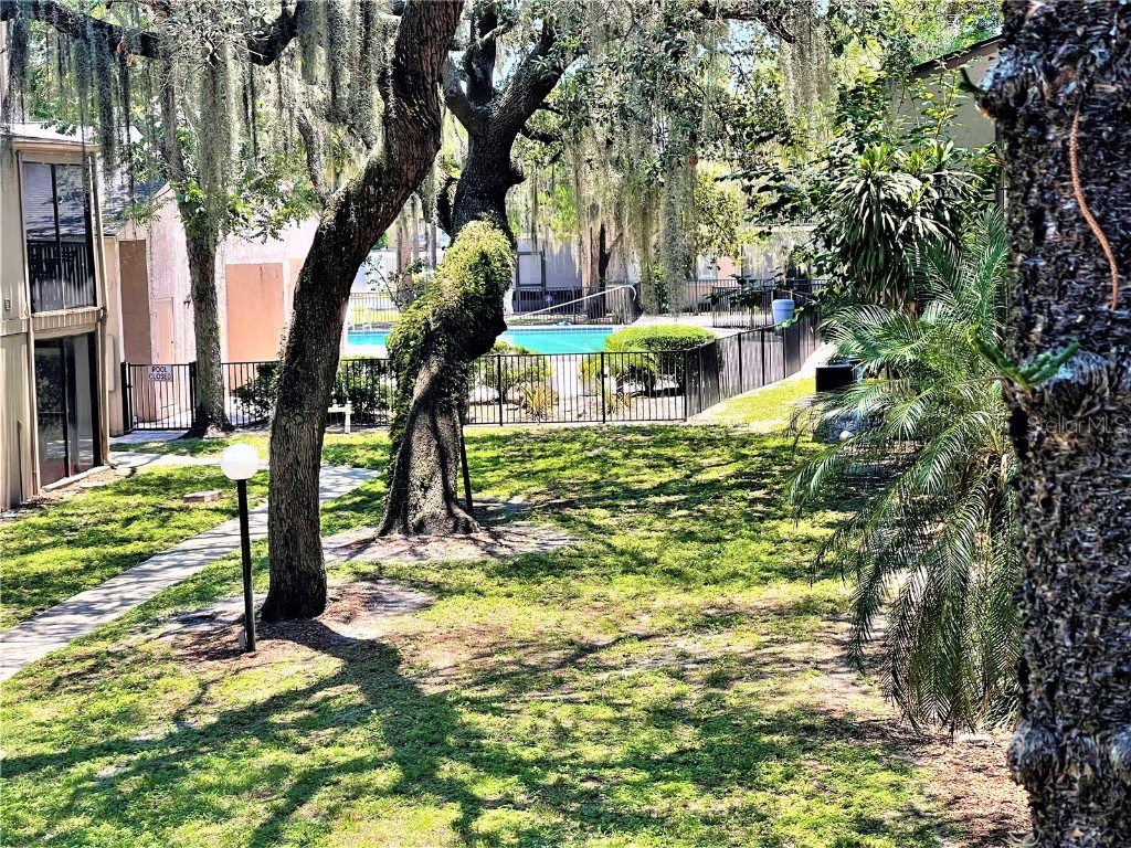 5507 Pokeweed Court #149 Tampa FL 33617 U8203212 image1