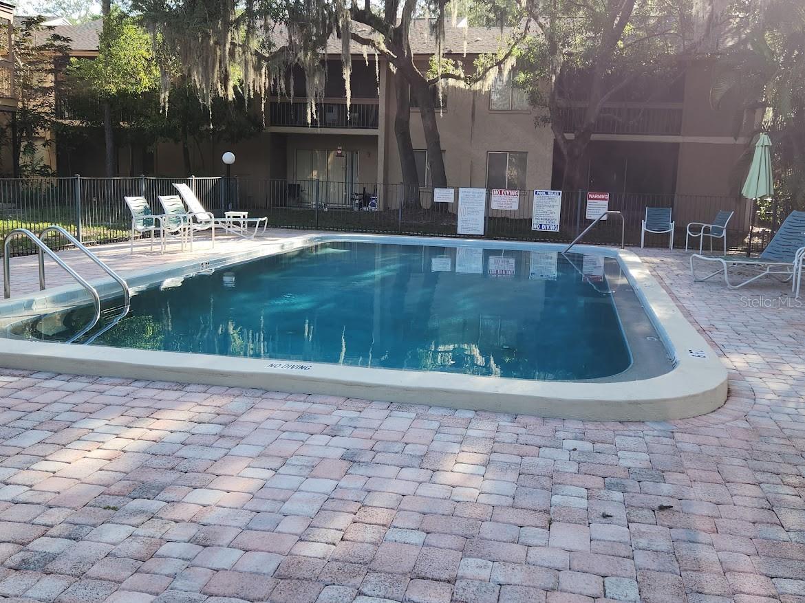 5507 Pokeweed Court #C Tampa FL 33617 TB8514245 image13