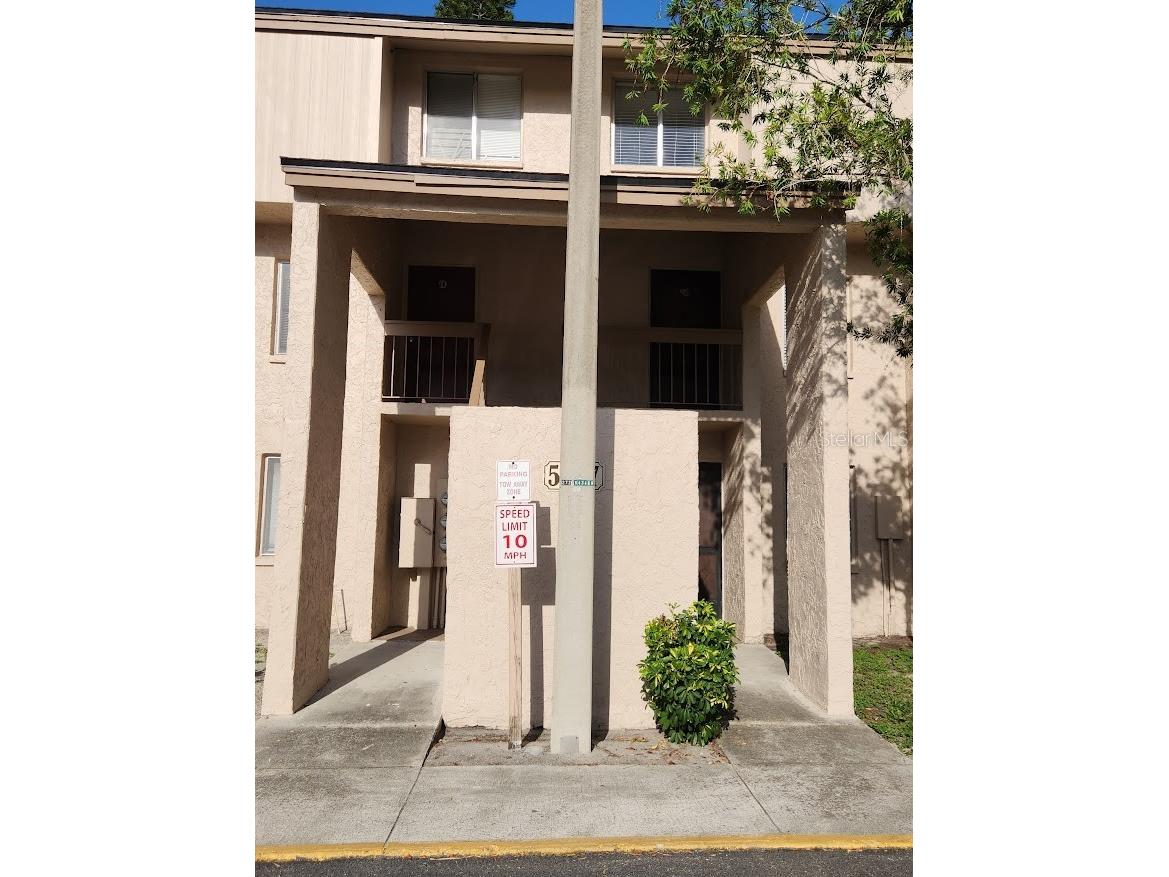 5507 Pokeweed Court #C Tampa FL 33617 TB8514245 image2