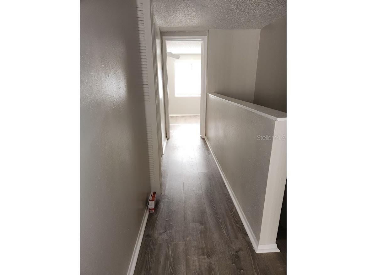 5507 Pokeweed Court #C Tampa FL 33617 TB8514245 image8