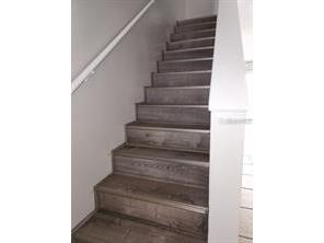 5507 Pokeweed Court #C Tampa FL 33617 TB8530181 image7