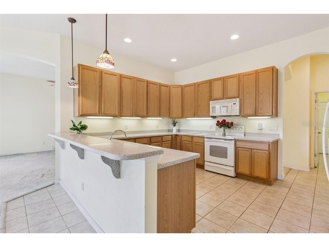 5508 Belle Terre Drive Leesburg FL 34748 G5104937 image20