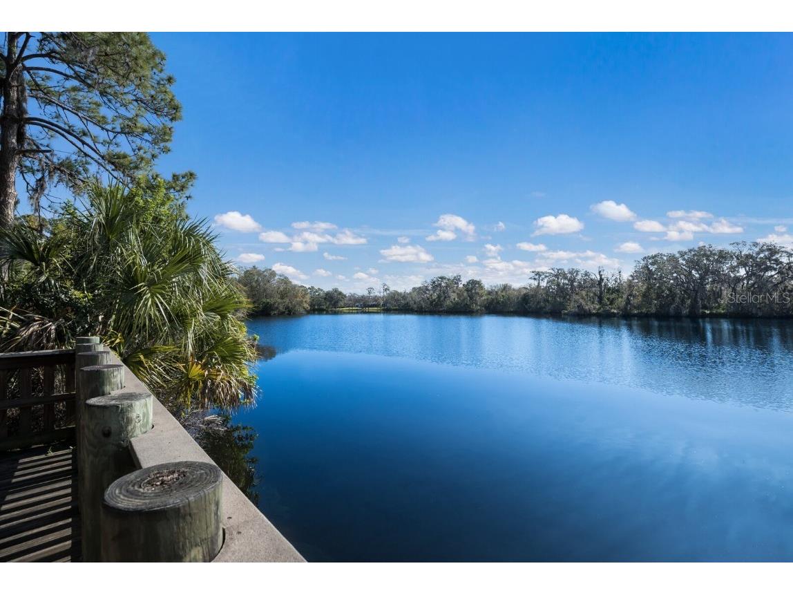 5508 Gardens Drive Sarasota FL 34243 A4666564 image33