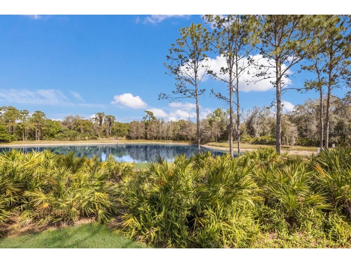 5508 Gardens Drive Sarasota FL 34243 A4666564 image35