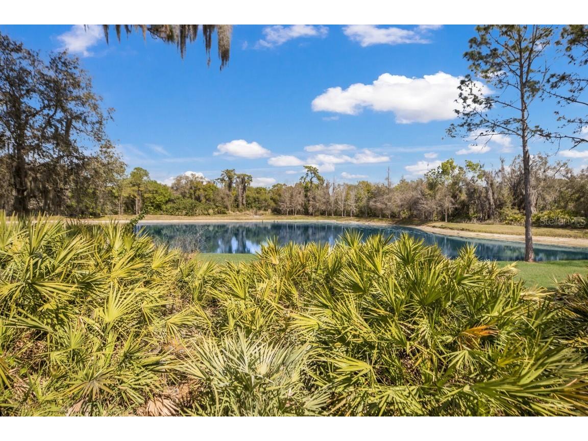 5508 Gardens Drive Sarasota FL 34243 A4666564 image36