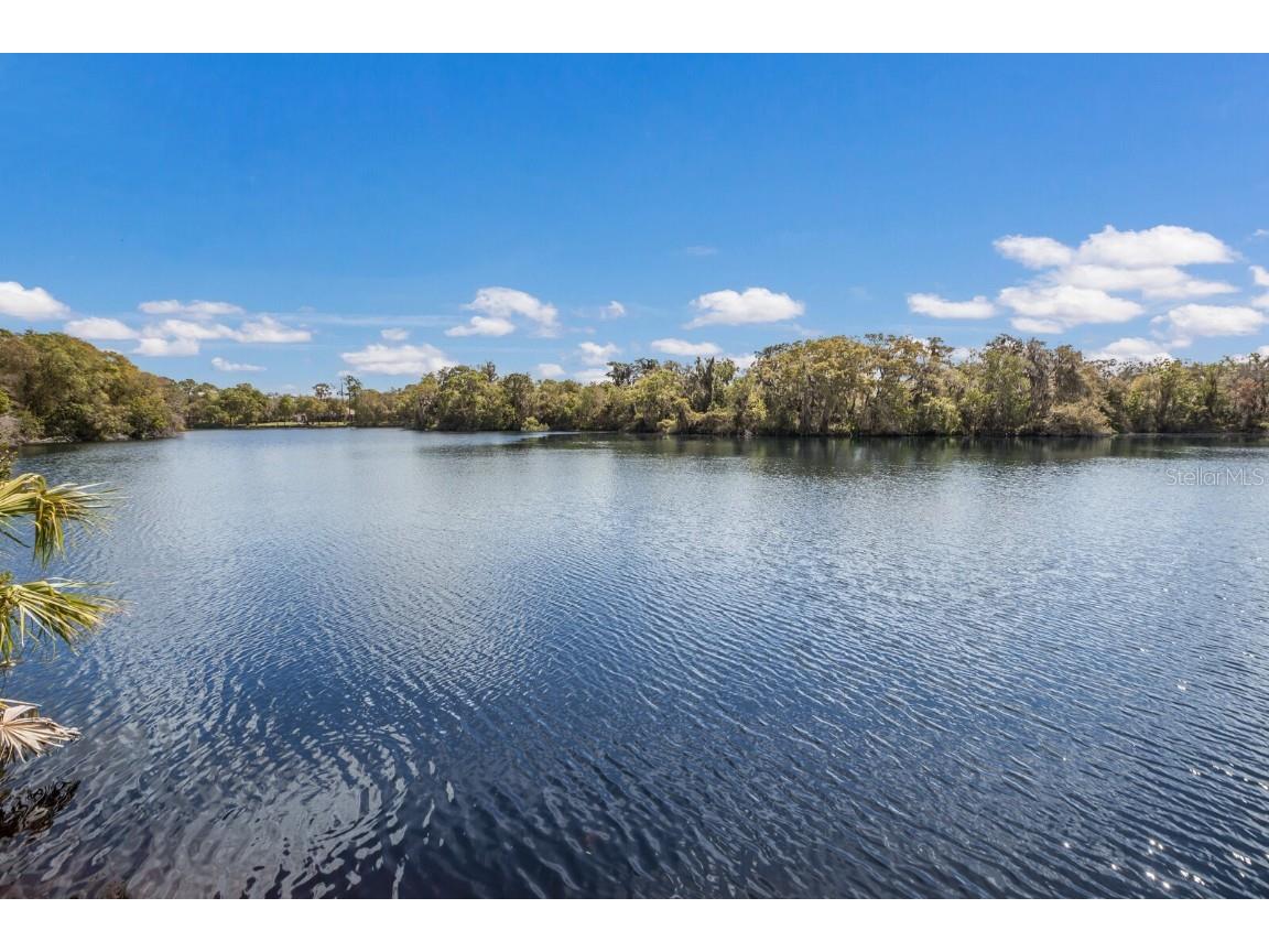 5508 Gardens Drive Sarasota FL 34243 A4666564 image45