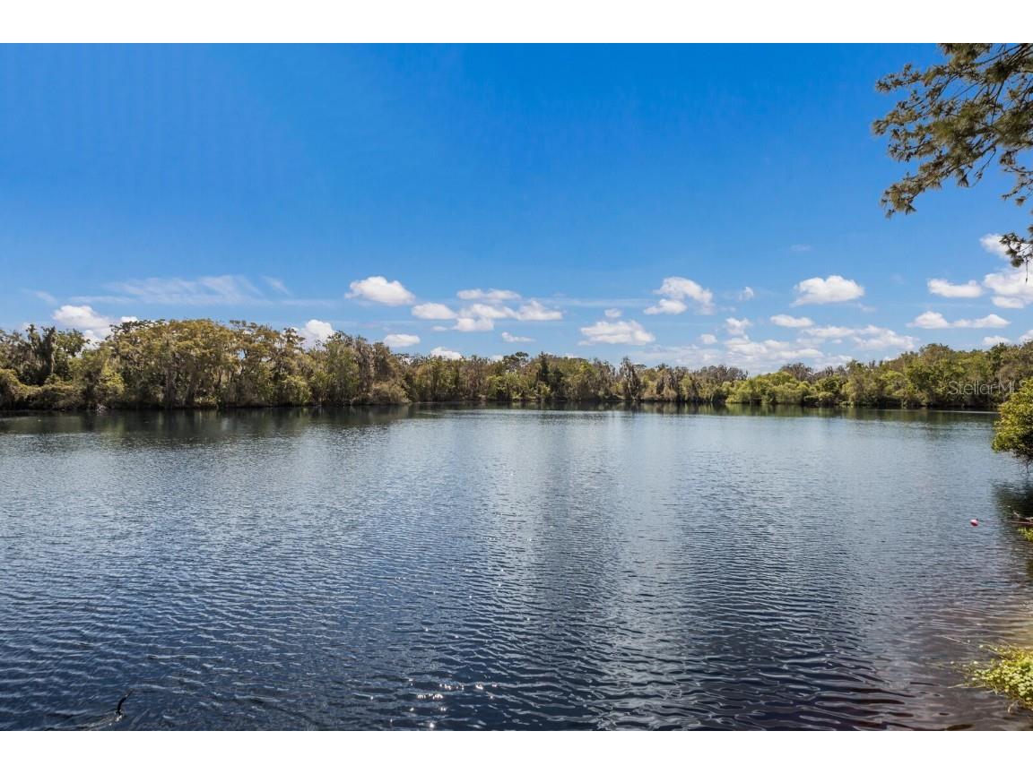 5508 Gardens Drive Sarasota FL 34243 A4666564 image46