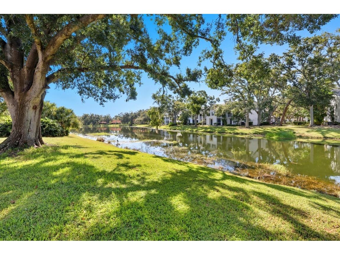 5508 Gardens Drive Sarasota FL 34243 A4666564 image9