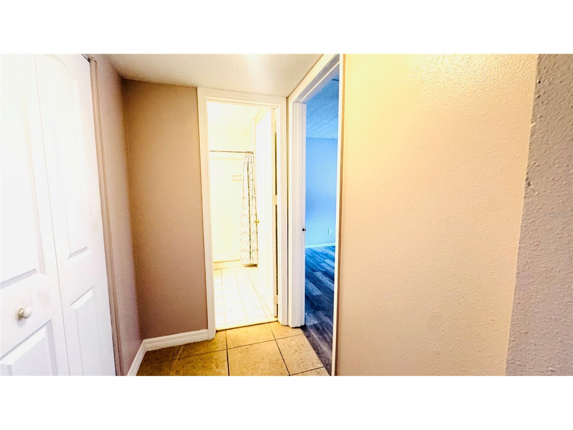 5508 Pokeweed Court #146 Tampa FL 33617 TB8515612 image12