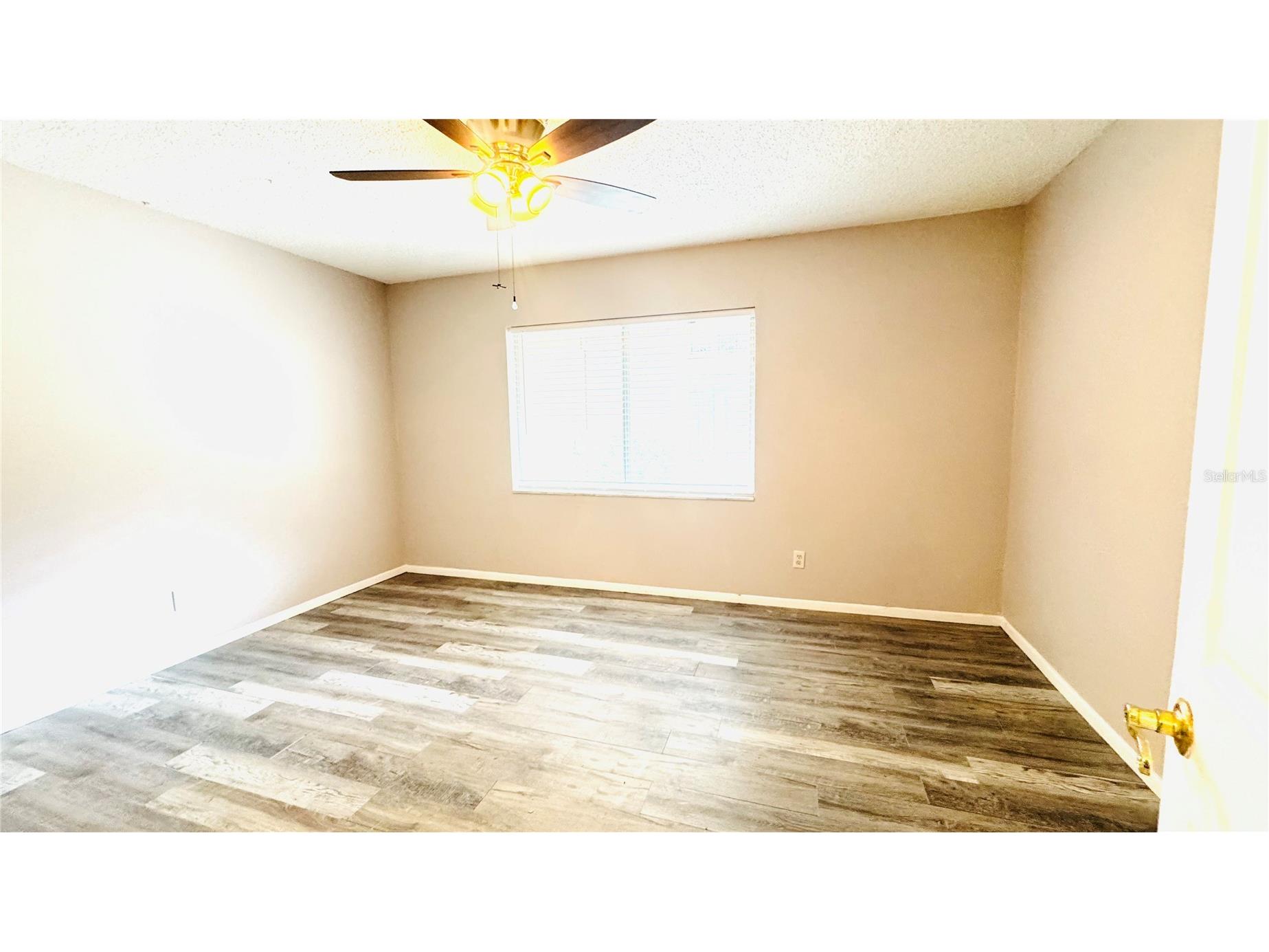 5508 Pokeweed Court #146 Tampa FL 33617 TB8515612 image14