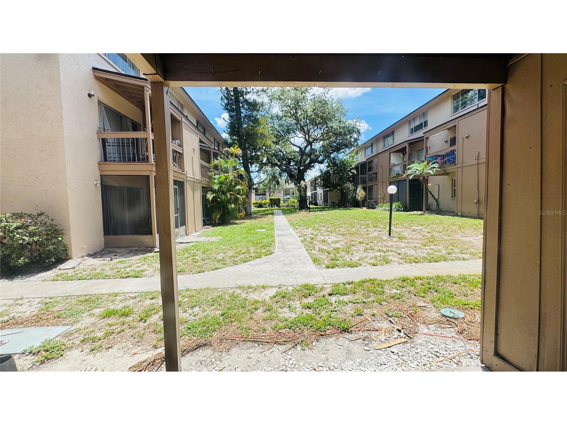 5508 Pokeweed Court #146 Tampa FL 33617 TB8515612 image18