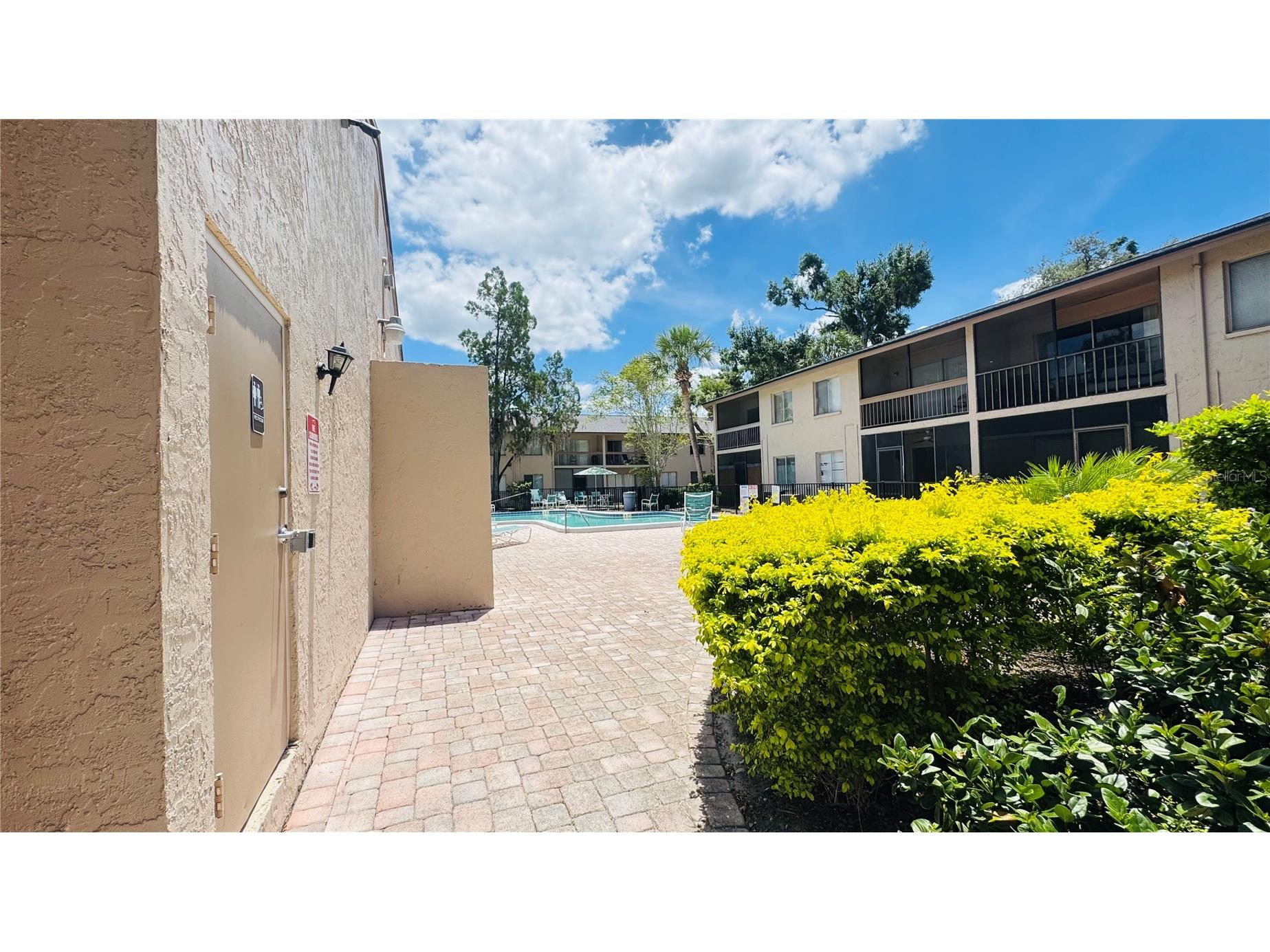 5508 Pokeweed Court #146 Tampa FL 33617 TB8515612 image19