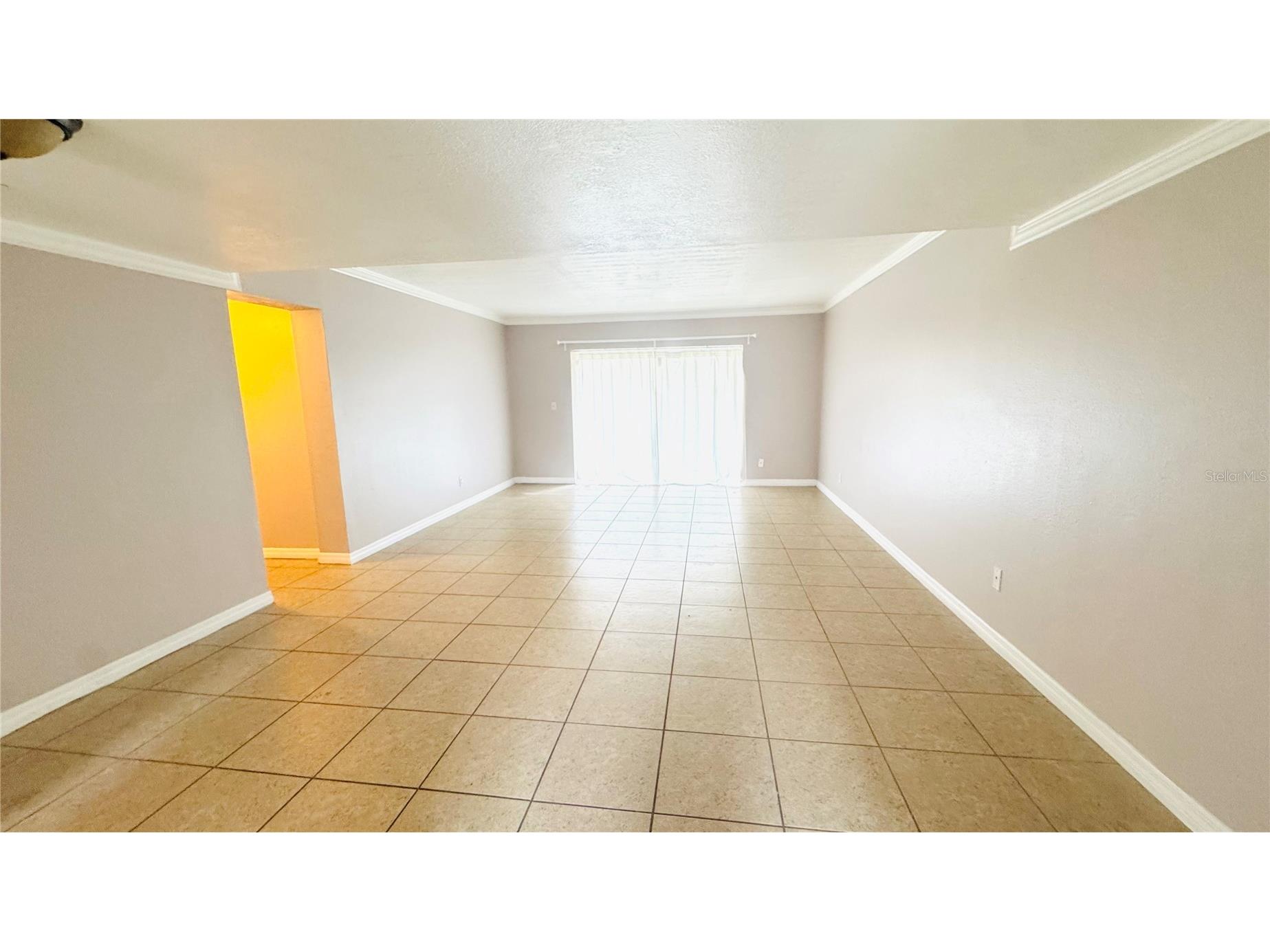 5508 Pokeweed Court #146 Tampa FL 33617 TB8515612 image3