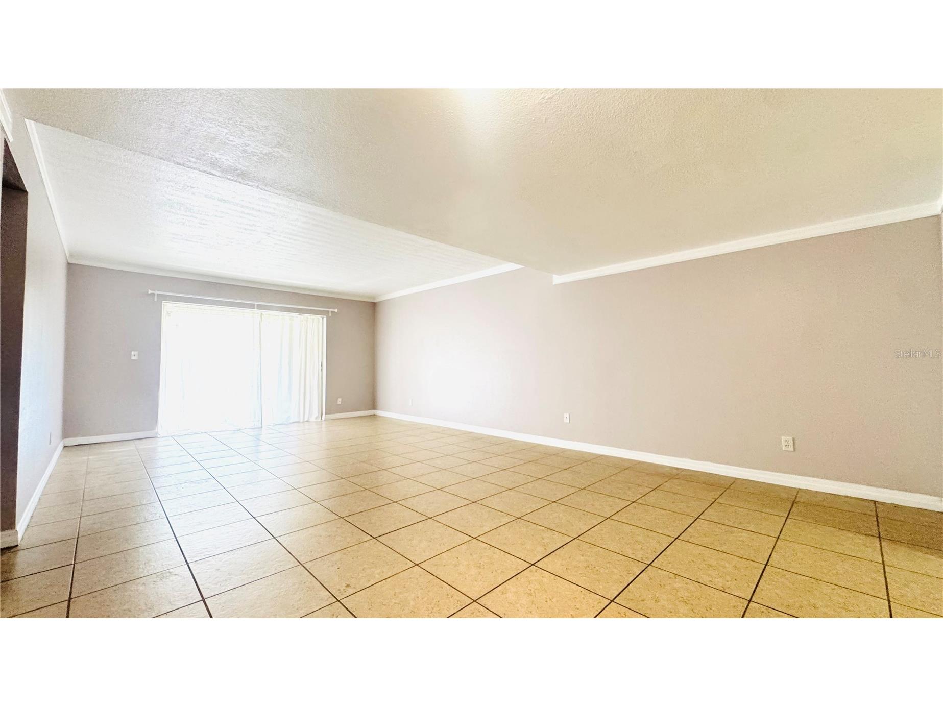 5508 Pokeweed Court #146 Tampa FL 33617 TB8515612 image4