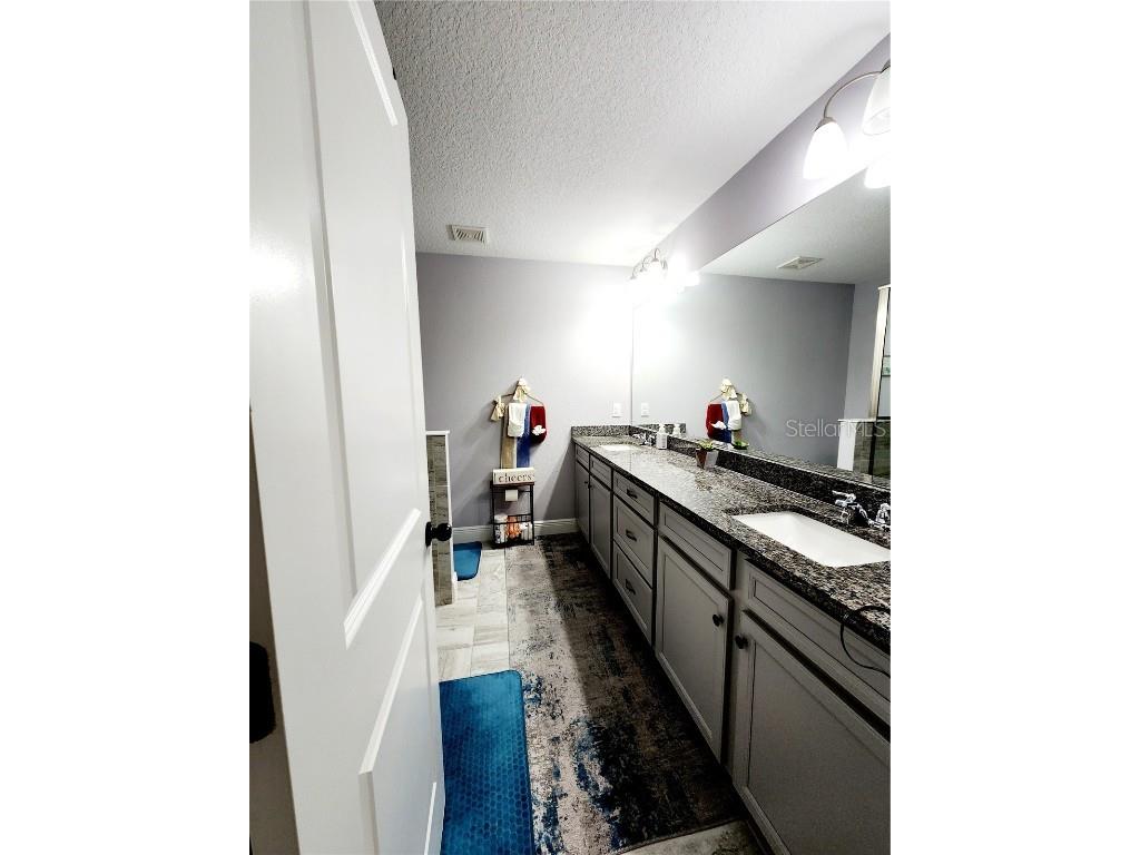 5508 Viola Lee Way Lutz FL 33558 TB8336993 image27