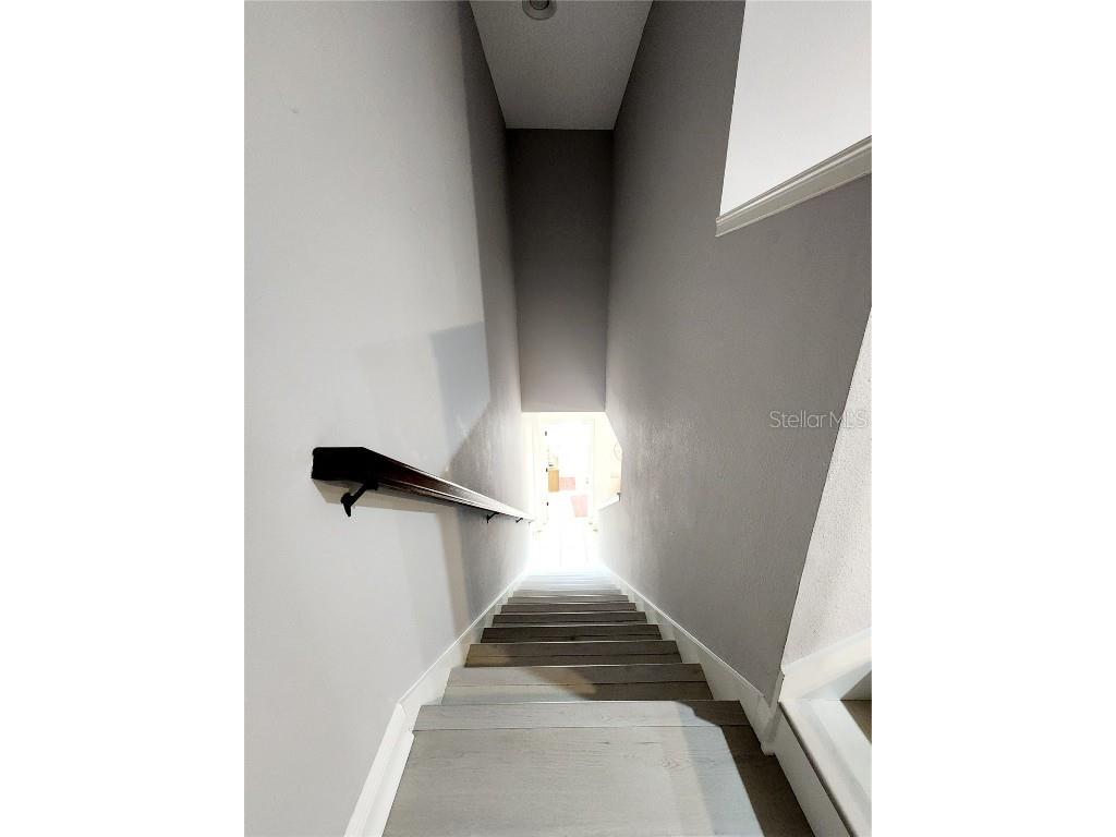 5508 Viola Lee Way Lutz FL 33558 TB8336993 image30