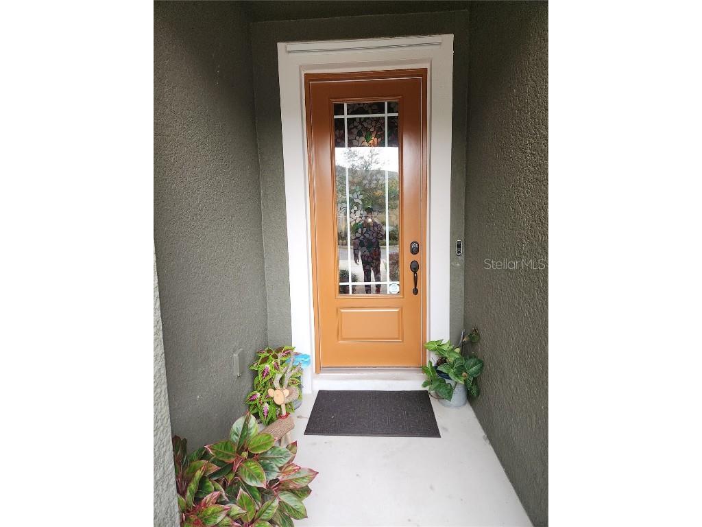 5508 Viola Lee Way Lutz FL 33558 TB8336993 image4