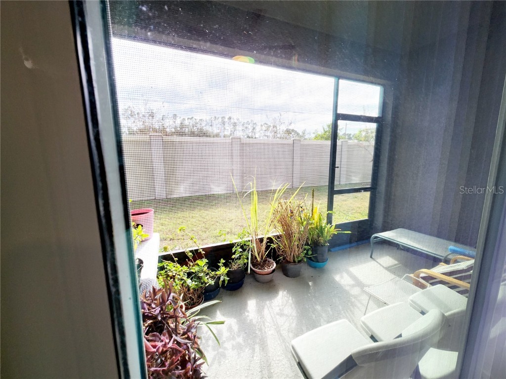 5508 Viola Lee Way Lutz FL 33558 TB8336993 image52