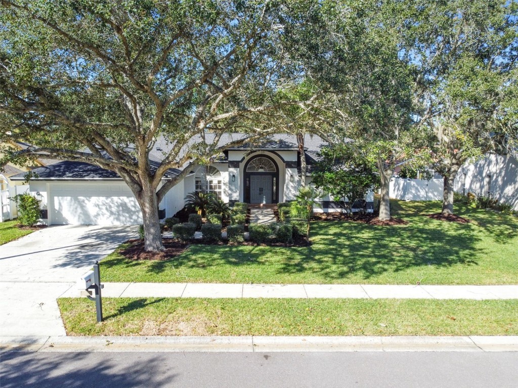 5509 Oakridge Drive Palm Harbor FL 34685 U8224833 image1