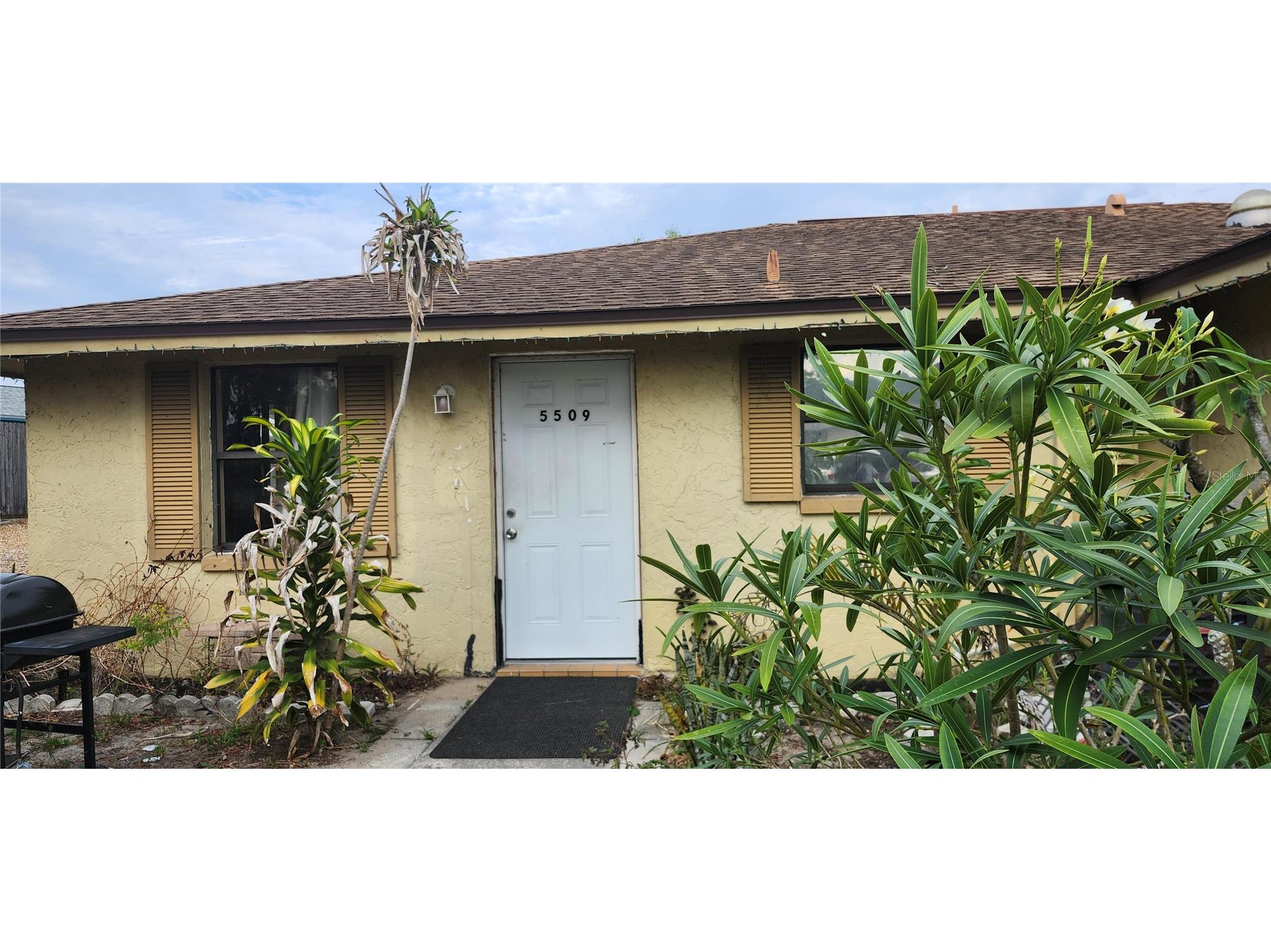 5509 Riddle Road Holiday FL 34690 TB8507751 image2