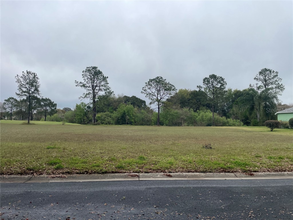 551 Dowling Circle Lady Lake FL 32159 T3507459 image1