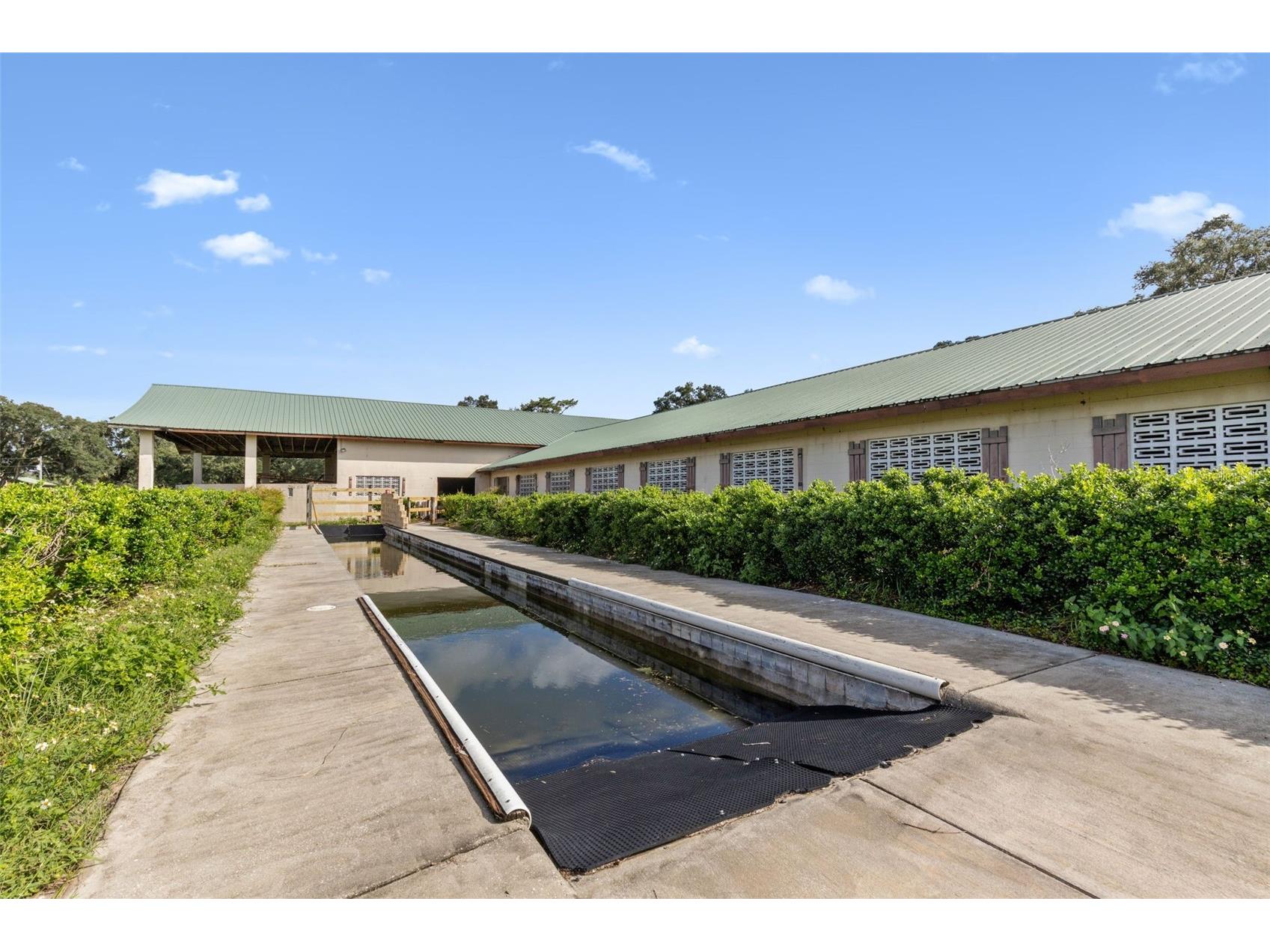 551 NE 200 Avenue Williston FL 32696 O6349209 image14