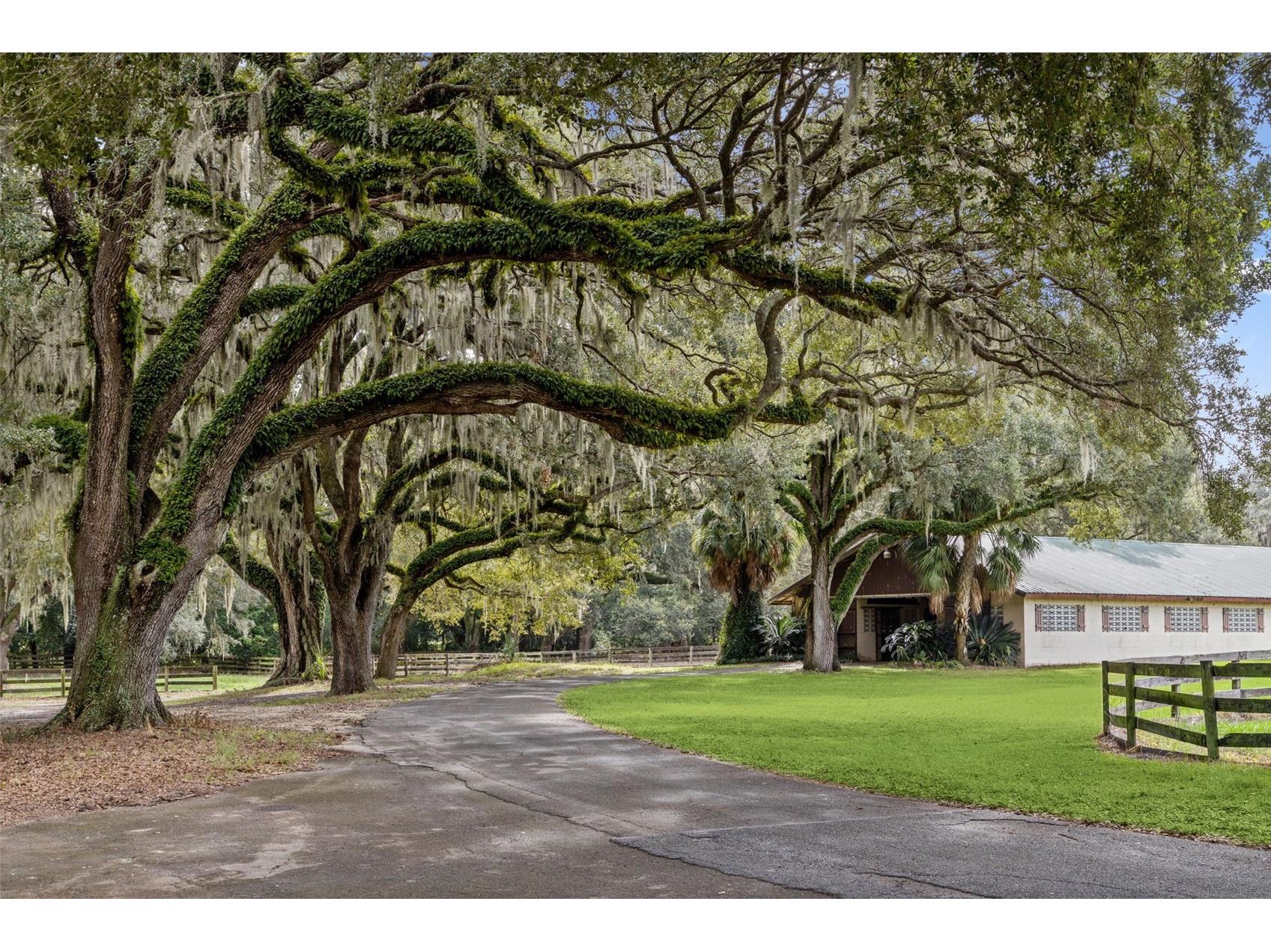551 NE 200 Avenue Williston FL 32696 O6349209 image18