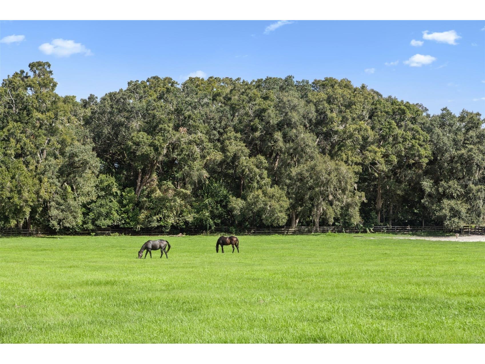 551 NE 200 Avenue Williston FL 32696 O6349209 image21