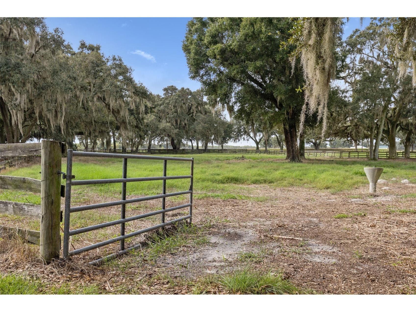 551 NE 200 Avenue Williston FL 32696 O6349209 image22