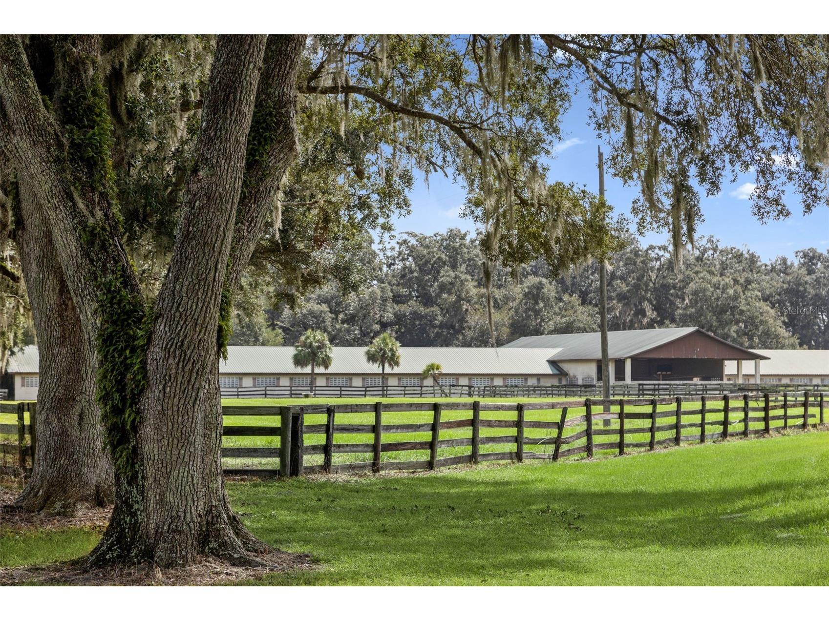 551 NE 200 Avenue Williston FL 32696 O6349209 image23