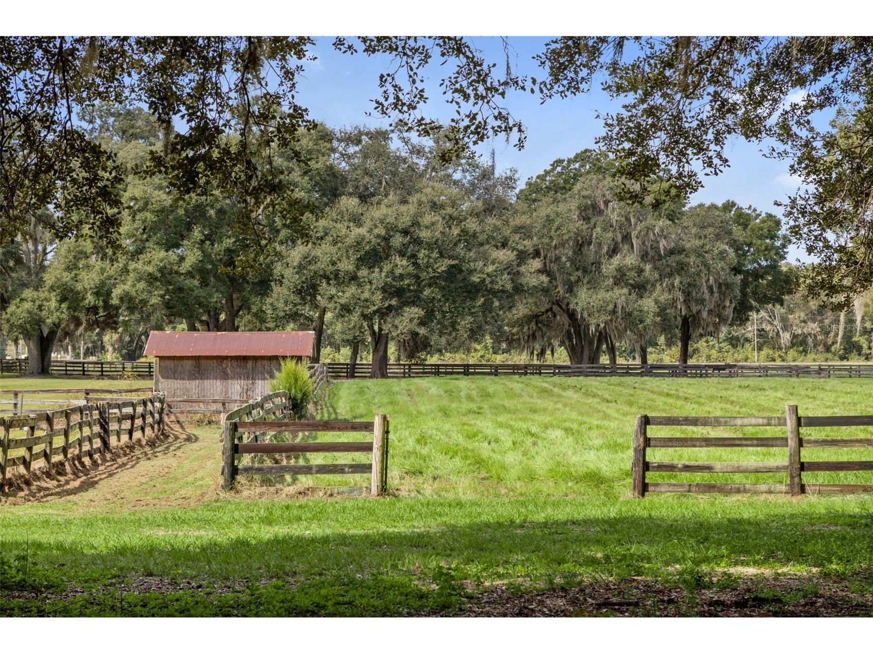 551 NE 200 Avenue Williston FL 32696 O6349209 image24