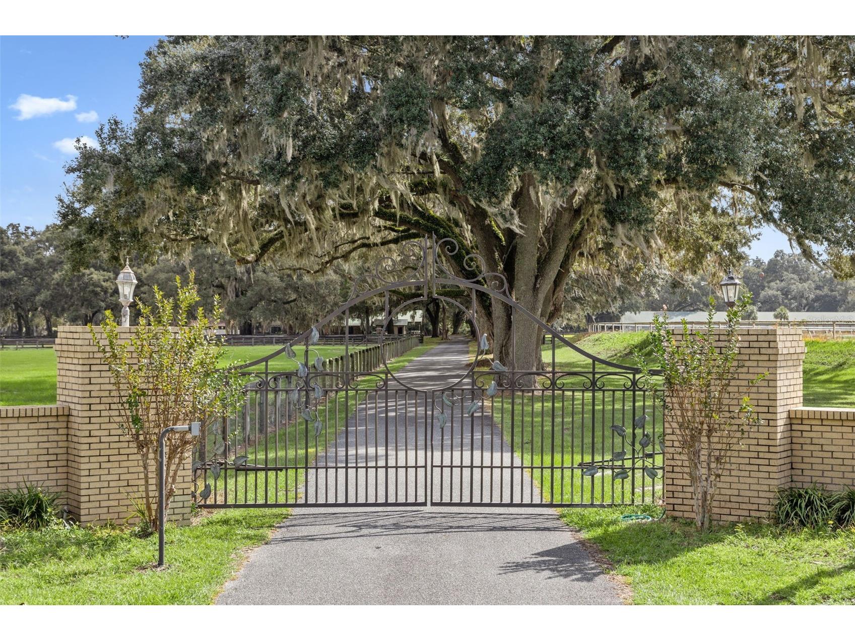 551 NE 200 Avenue Williston FL 32696 O6349209 image4
