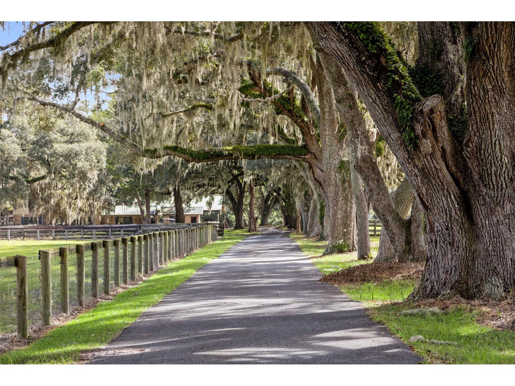 551 NE 200 Avenue Williston FL 32696 O6349209 image5