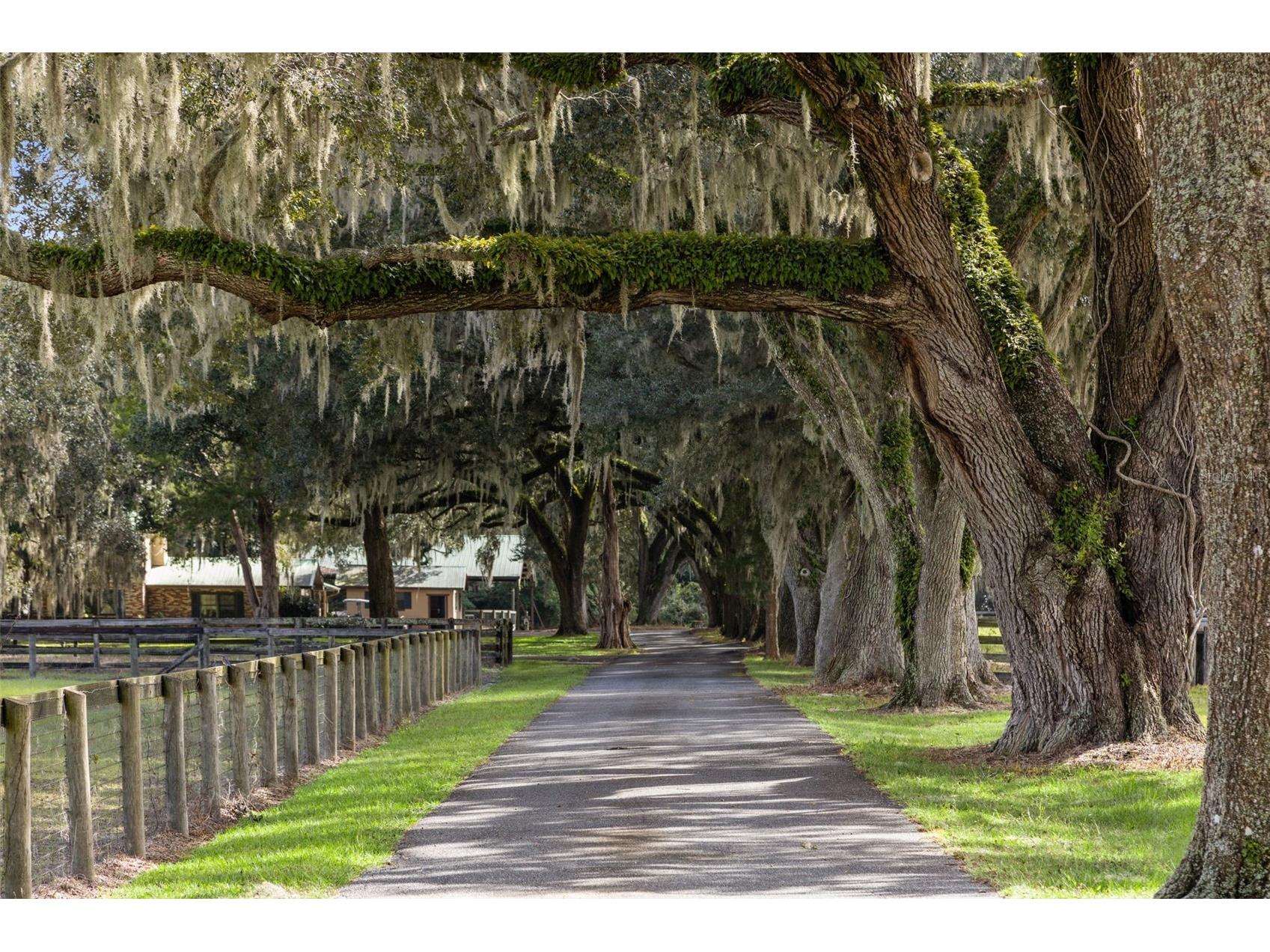 551 NE 200 Avenue Williston FL 32696 O6349209 image6