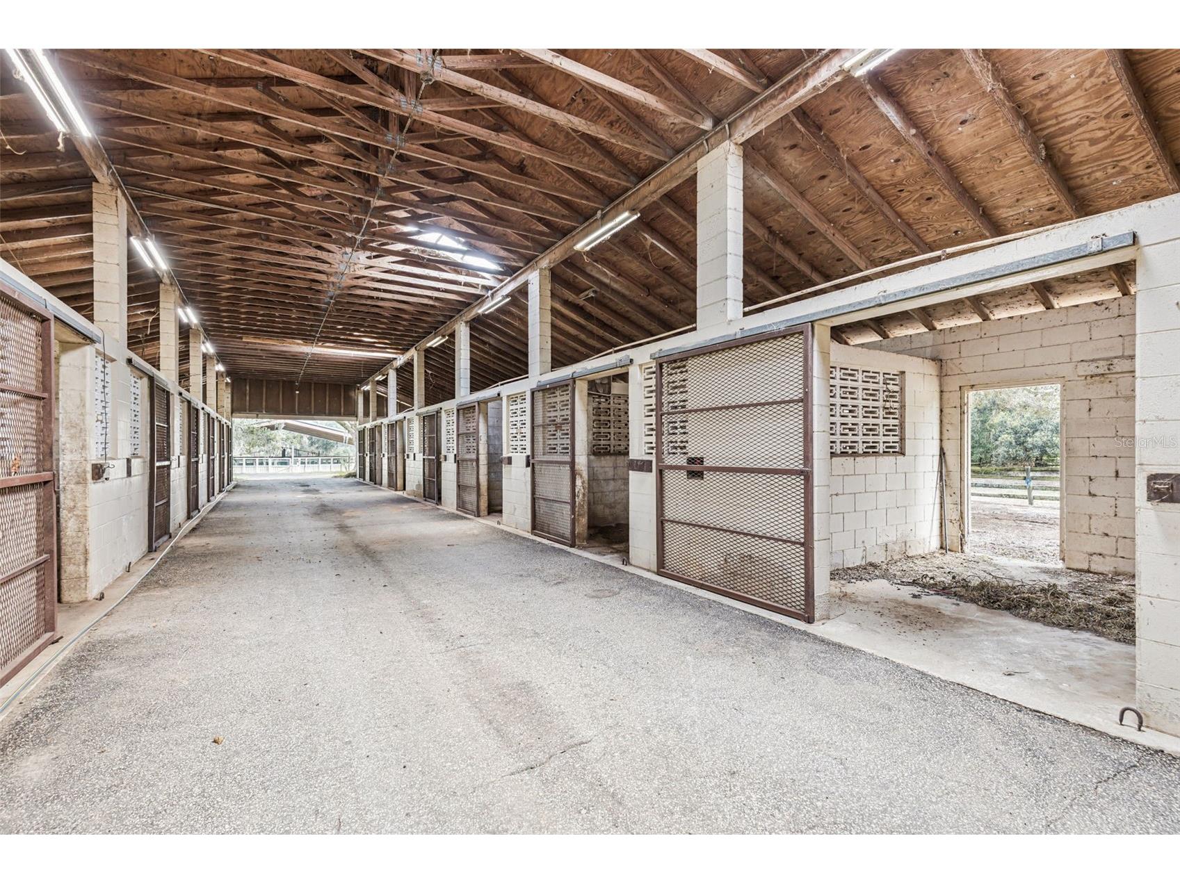 551 NE 200 Avenue Williston FL 32696 O6349209 image9