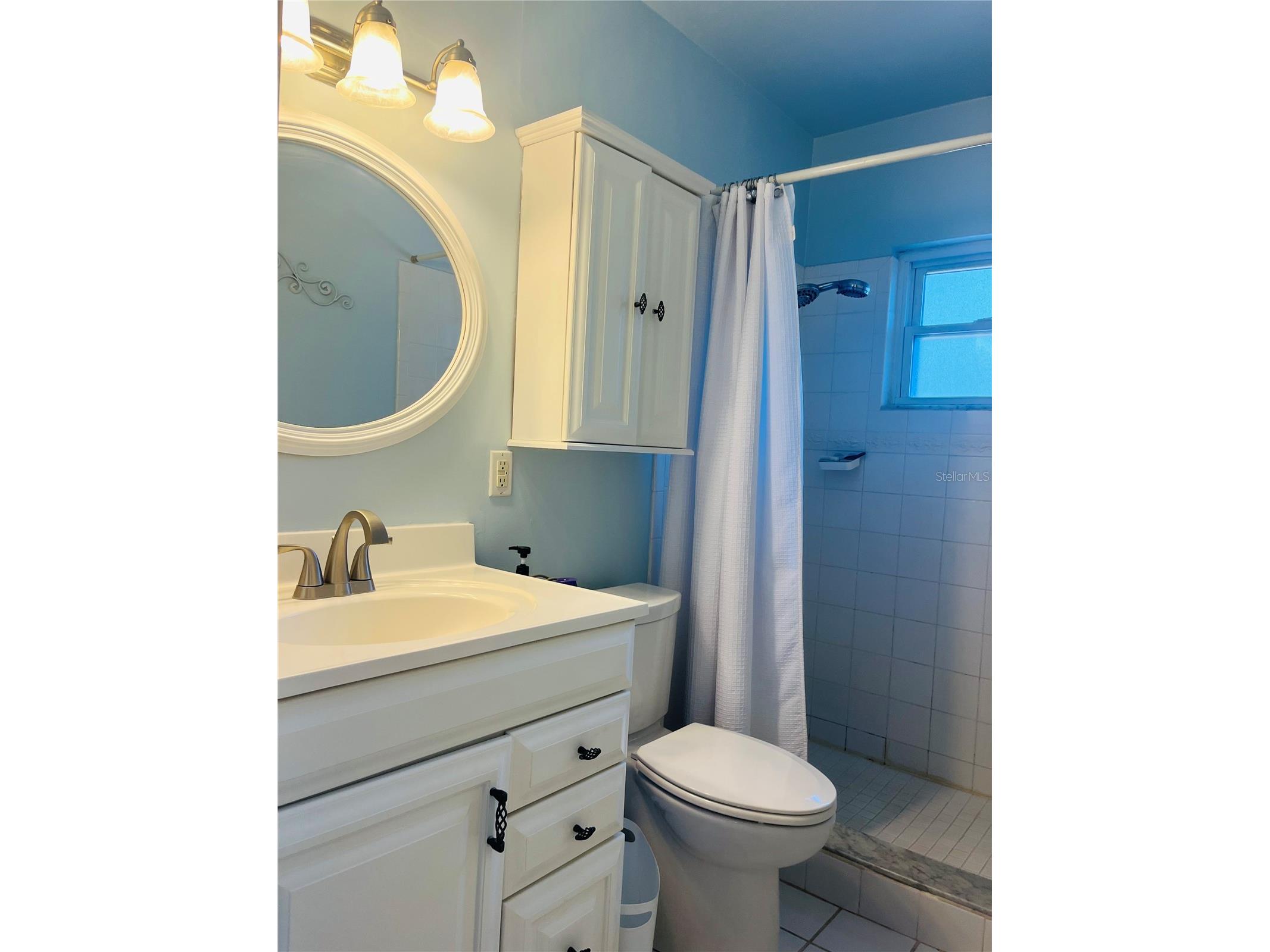 551 Orangewood Drive Dunedin FL 34698 TB8504360 image17