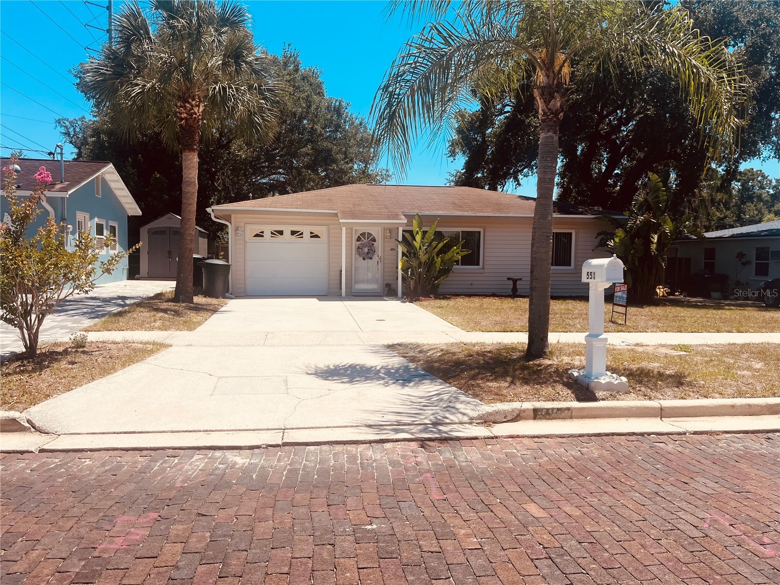 551 Orangewood Drive Dunedin FL 34698 TB8504360 image2