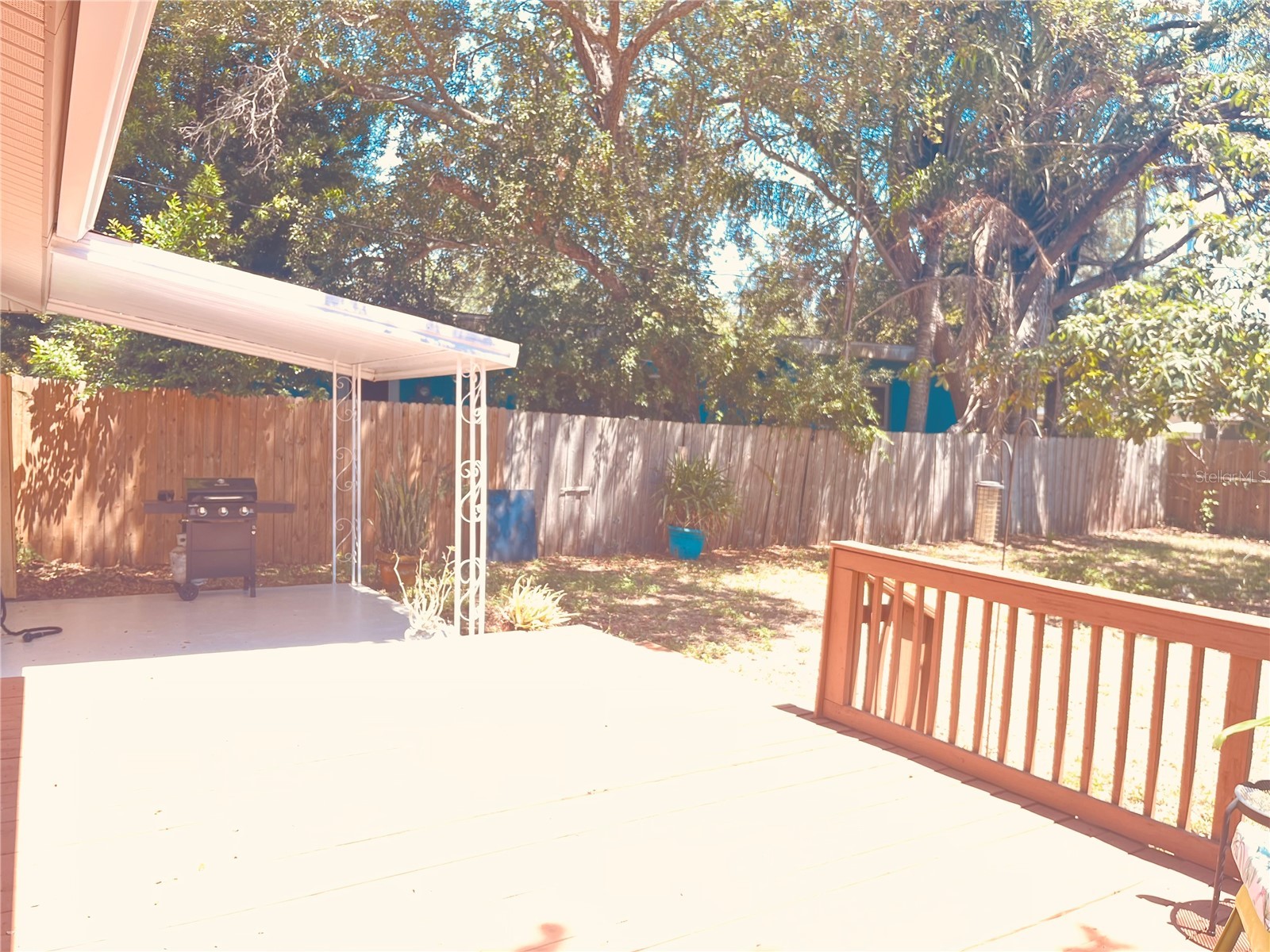 551 Orangewood Drive Dunedin FL 34698 TB8504360 image22
