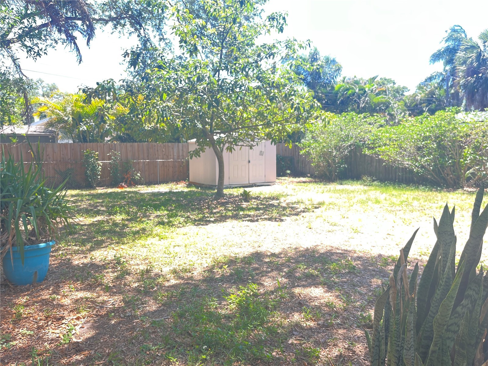 551 Orangewood Drive Dunedin FL 34698 TB8504360 image28