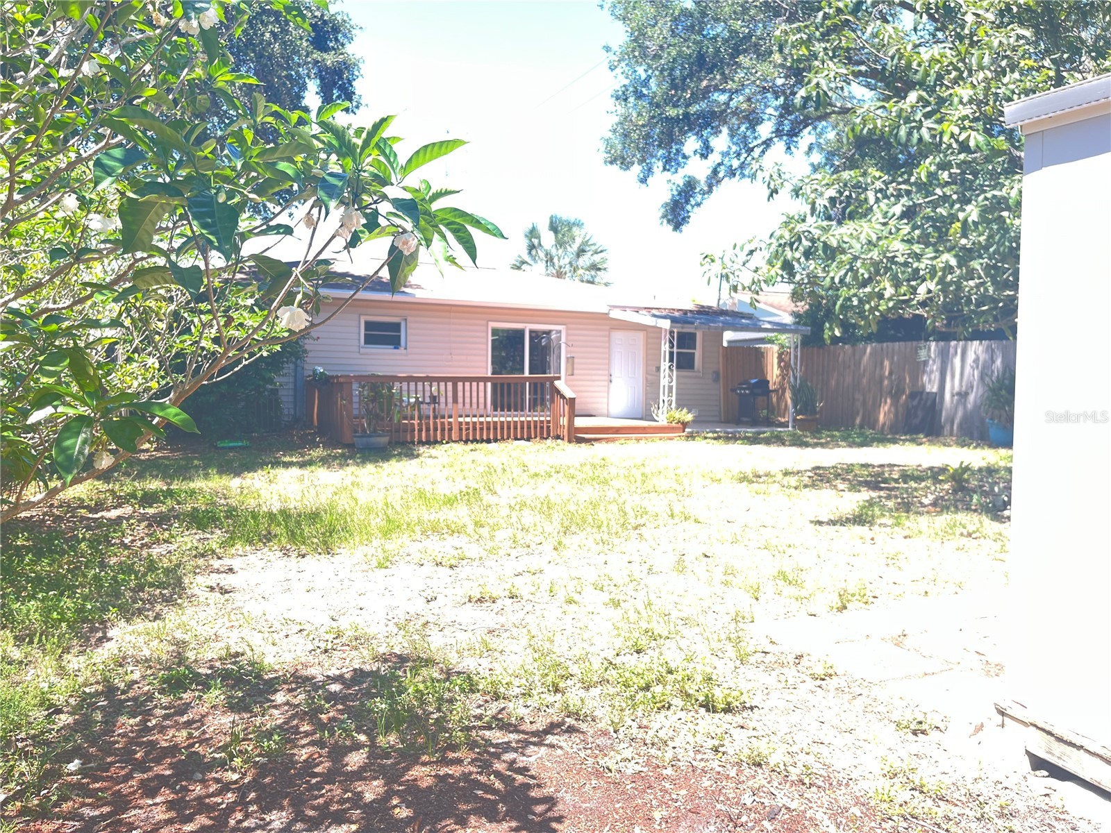 551 Orangewood Drive Dunedin FL 34698 TB8504360 image30