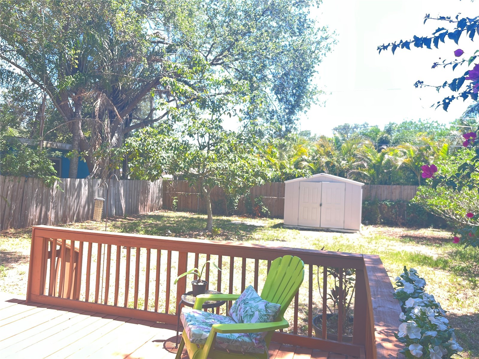 551 Orangewood Drive Dunedin FL 34698 TB8504360 image32