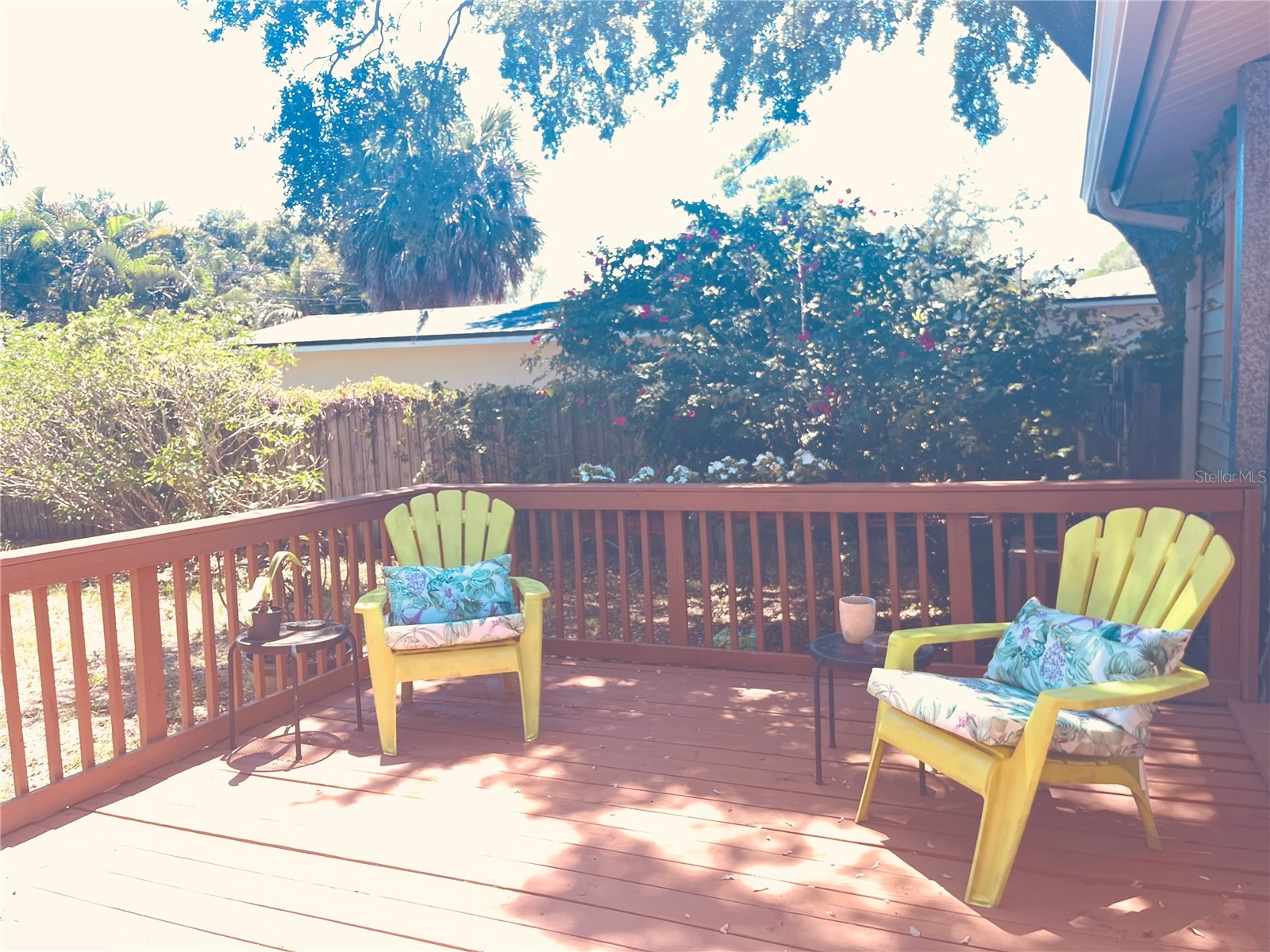551 Orangewood Drive Dunedin FL 34698 TB8504360 image33